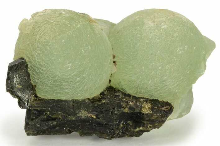 Botryoidal Prehnite and Epidote - Mali #220471
